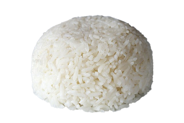 Nasi Putih